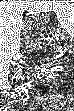 doolhoof